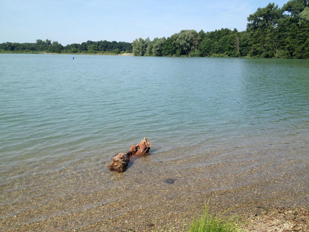 Landgasthof Zur Sonne I Hotel & Restaurant Neuburg am Rhein Zewnętrze zdjęcie